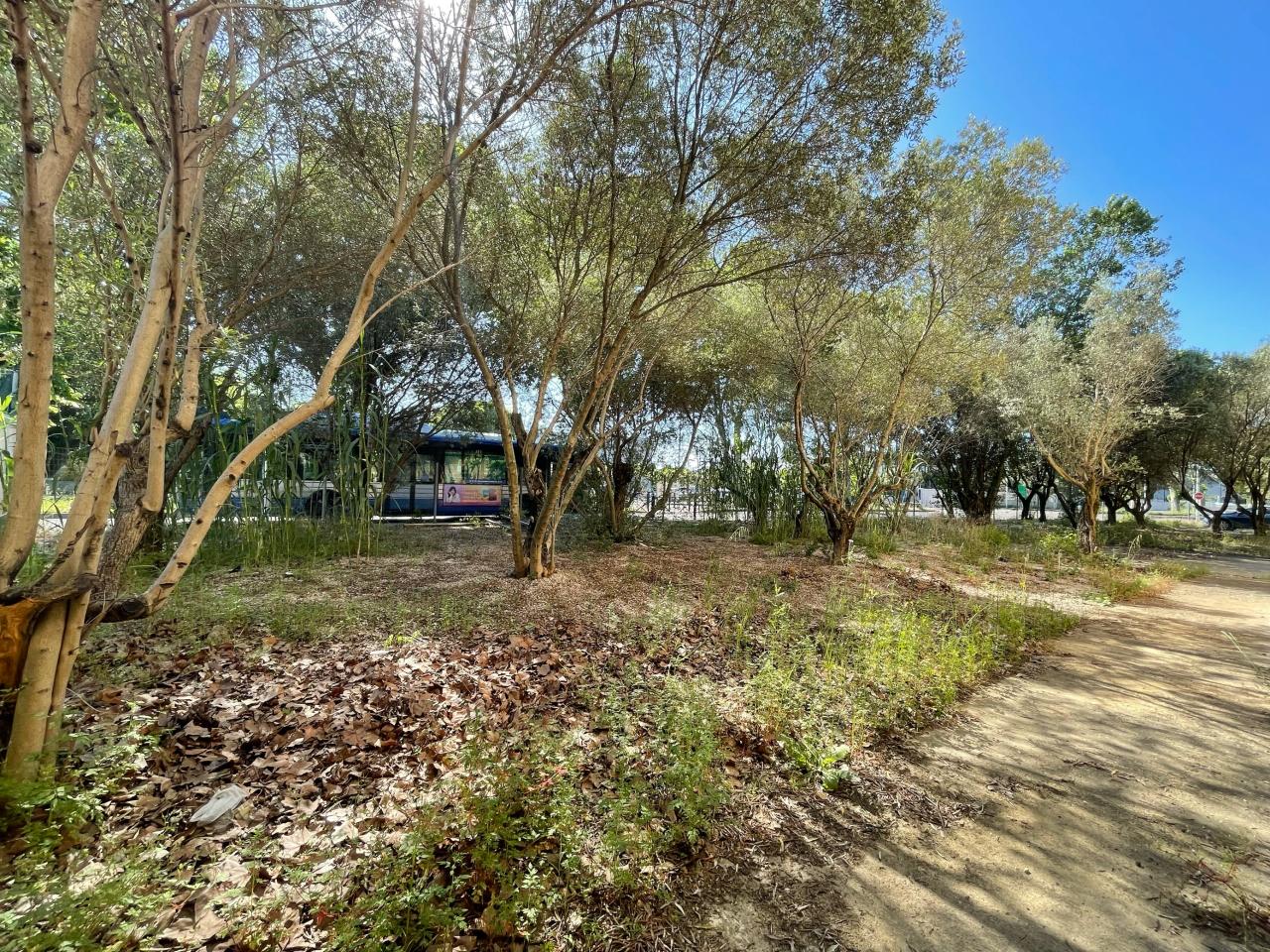 Local d'activité Montpellier 739m² Vente local d'activité Montpellier Hérault OVACT2532440 29